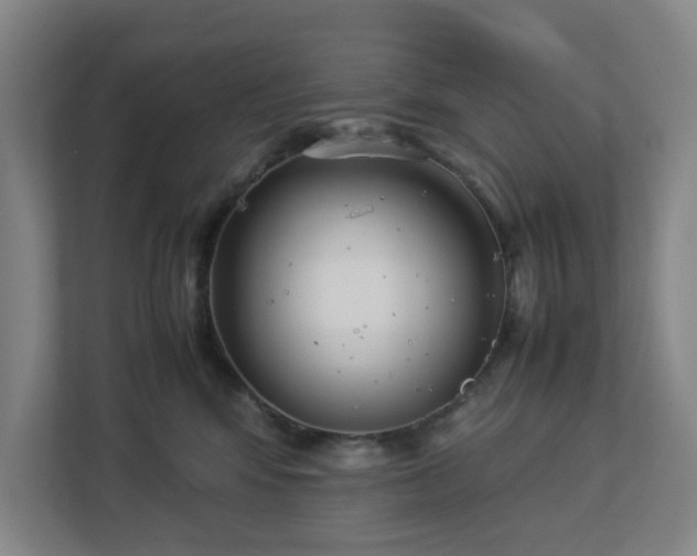 X0000113030424200909031255