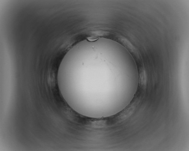 X0000113030426200909031255