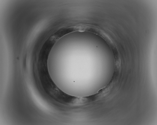 X0000113030429200909031255