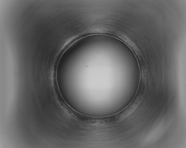 X0000113030434200909031255