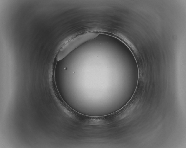 X0000113030437200909031255