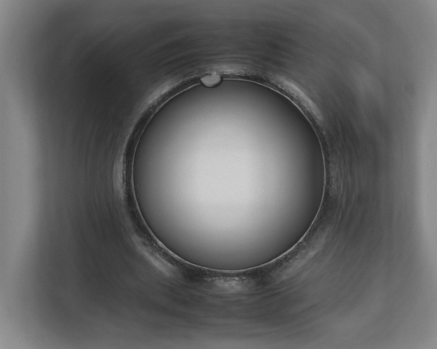 X0000113030439200909031255