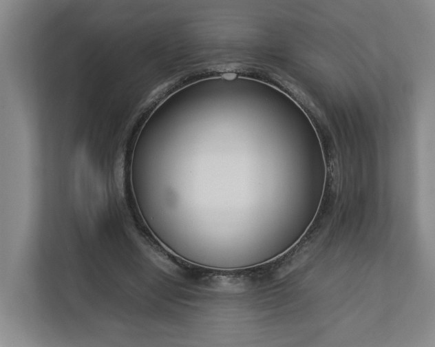 X0000113030442200909031255