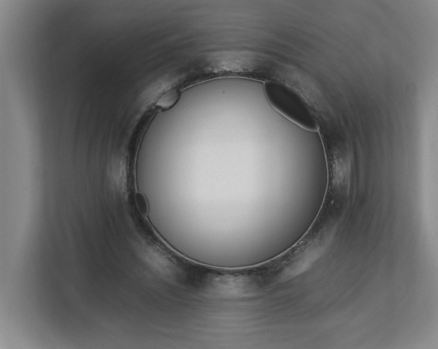 X0000113030444200909031255