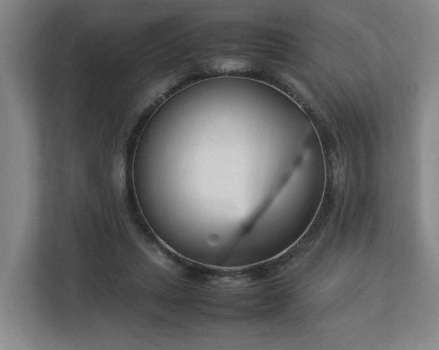 X0000113030447200909031255