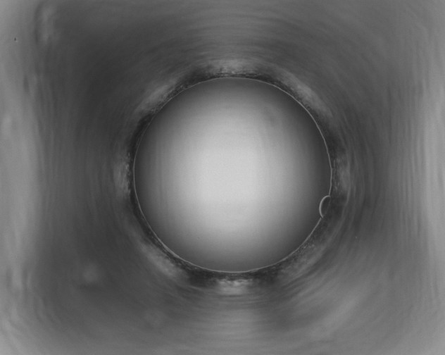 X0000113030450200909031255