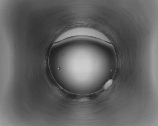 X0000113030456200909031255