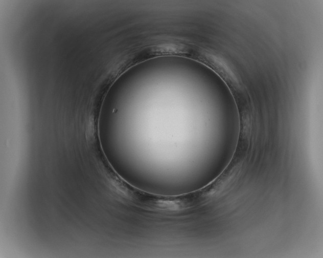 X0000113030457200909031255