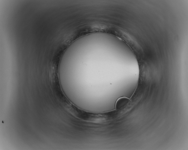 X0000113030463200909031255