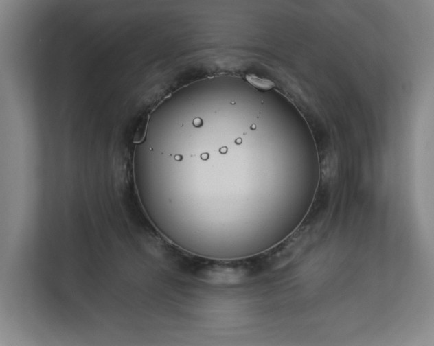 X0000113030464200909031255