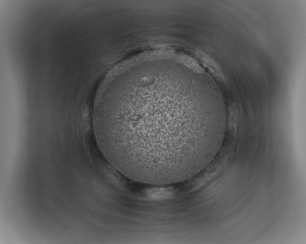 X0000113030465200909031255