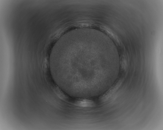 X0000113030467200909031255