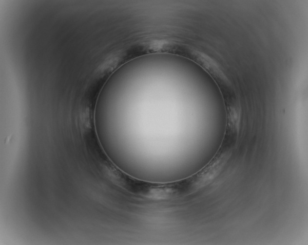 X0000113030470200909031255