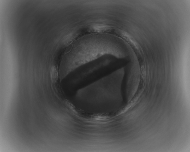 X0000113030471200909031255