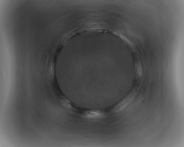 X0000113030475200909031255