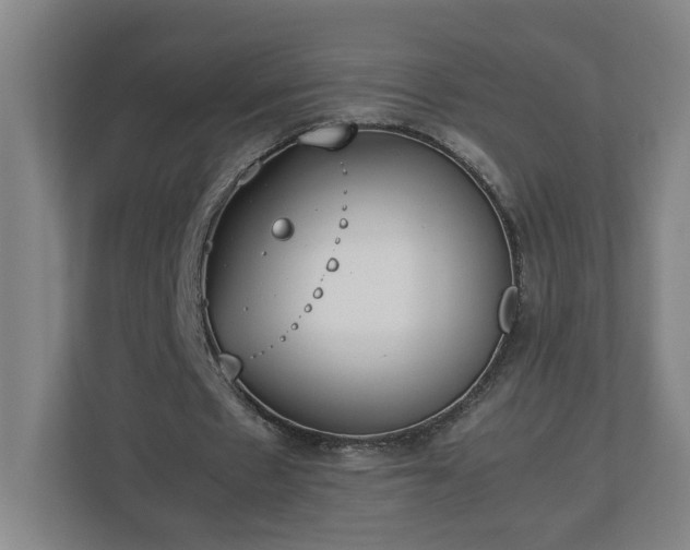 X0000113030481200909031255