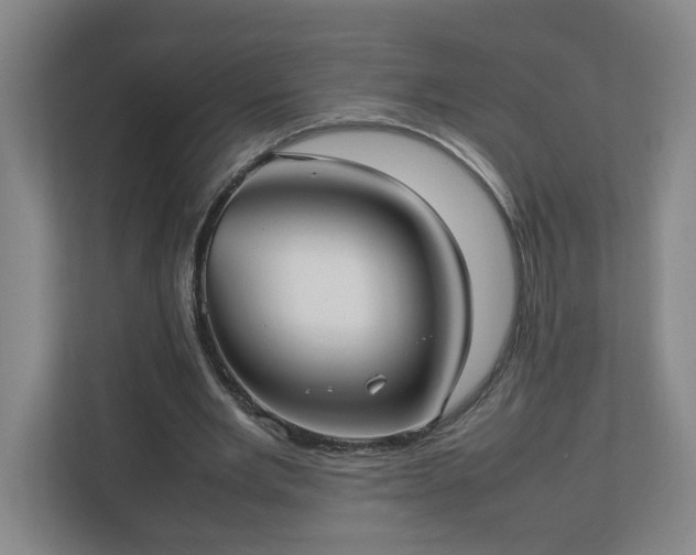 X0000113030485200909031254