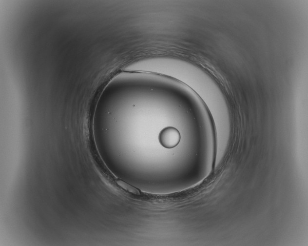 X0000113030489200909031254