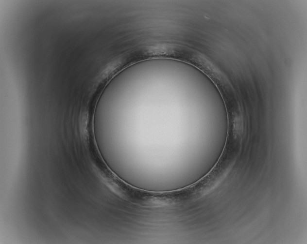 X0000113030490200909031254