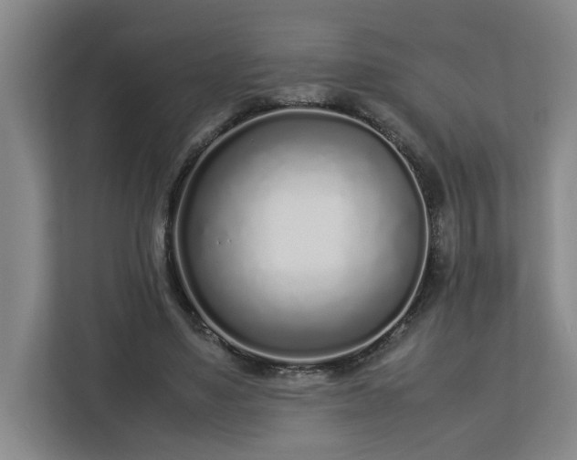 X0000113030491200909031254