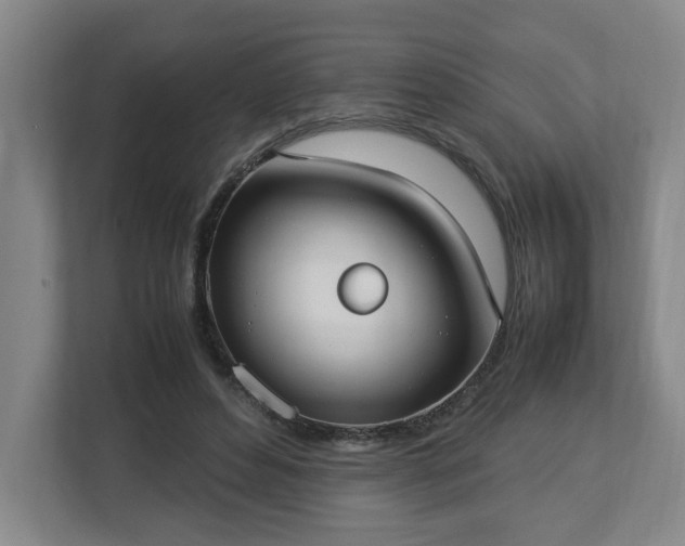 X0000113030496200909031254