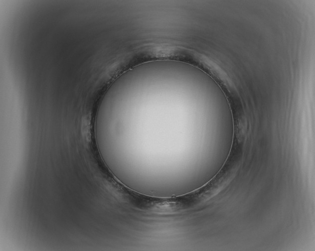 X0000113030497200909031254