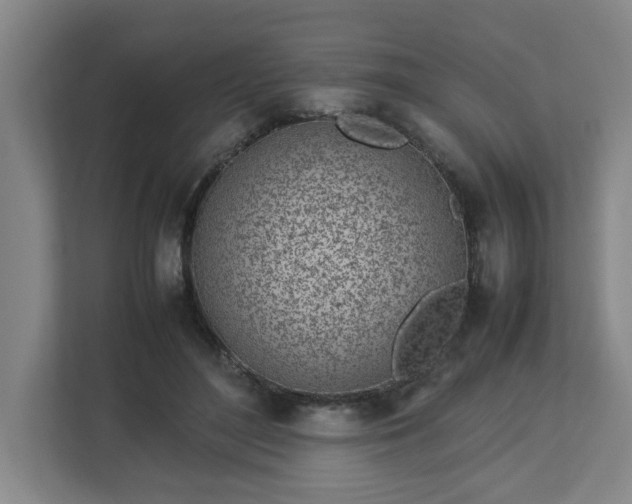 X0000113030500200909031254