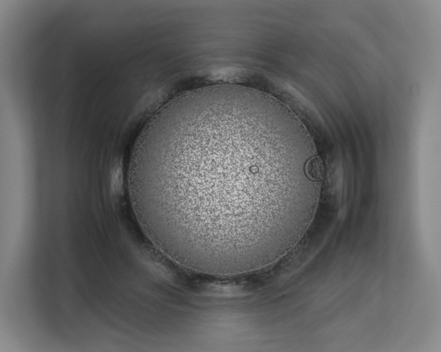 X0000113030502200909031254