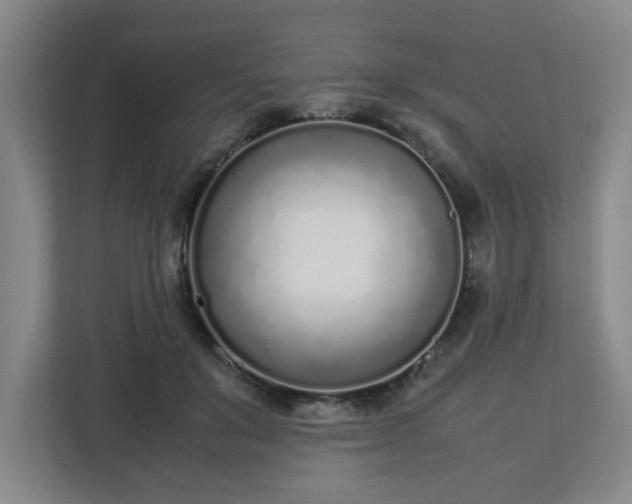 X0000113030503200909031254