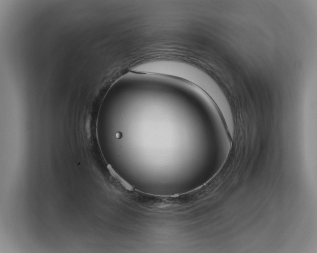 X0000113030504200909031254