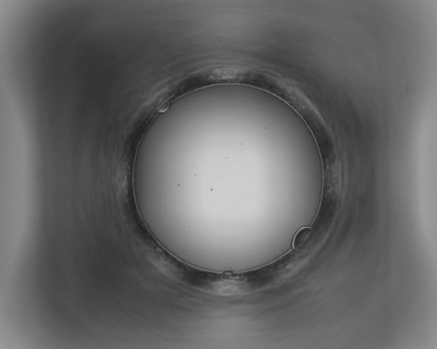 X0000113030505200909031254