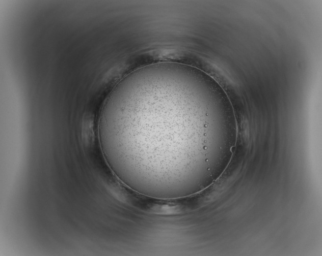 X0000113030506200909031254