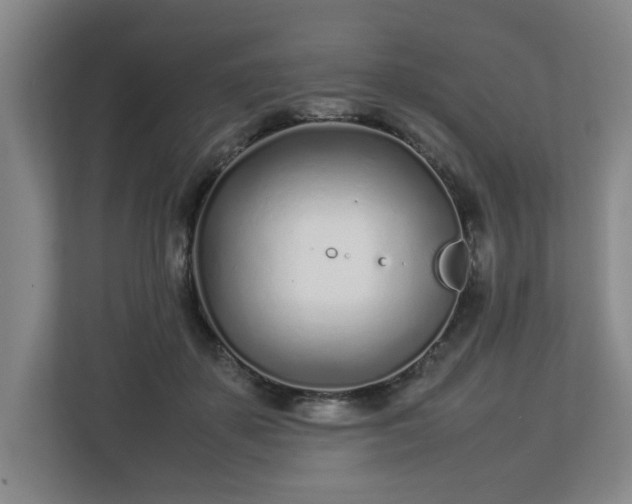 X0000113030507200909031254