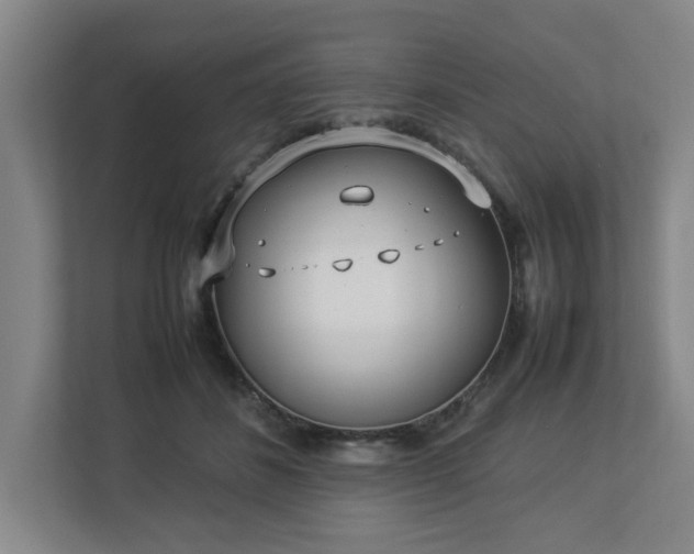 X0000113030508200909031254