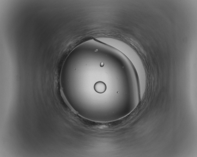 X0000113030509200909031254