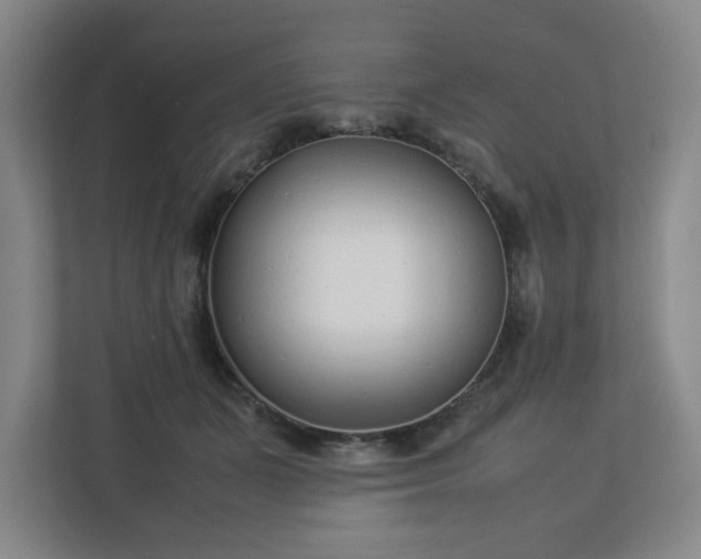 X0000113030511200909031254