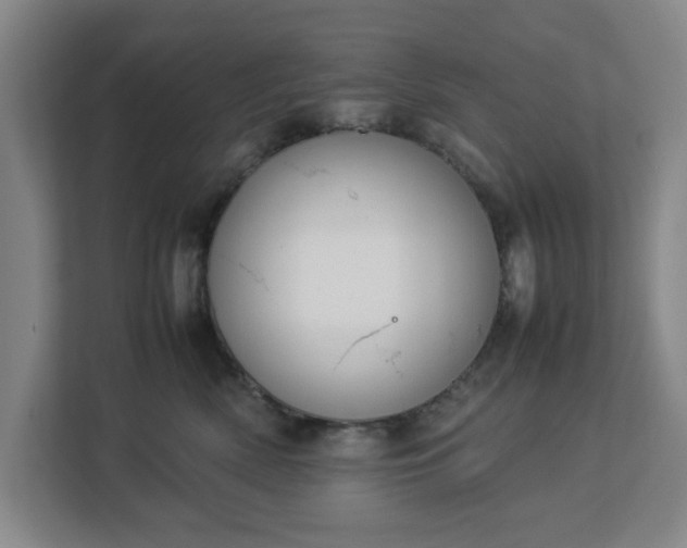 X0000113030522200909031254