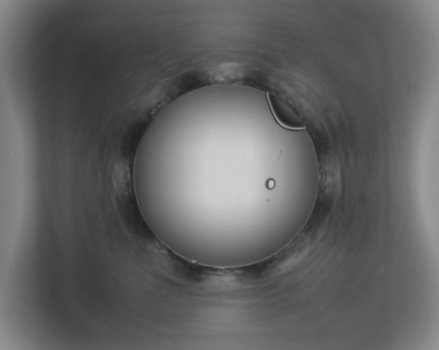 X0000113030523200909031254