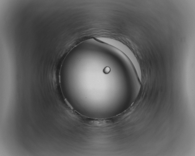 X0000113030524200909031254