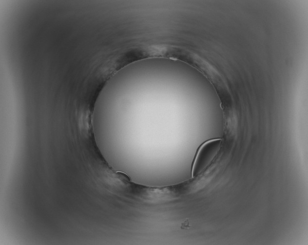 X0000113030525200909031254