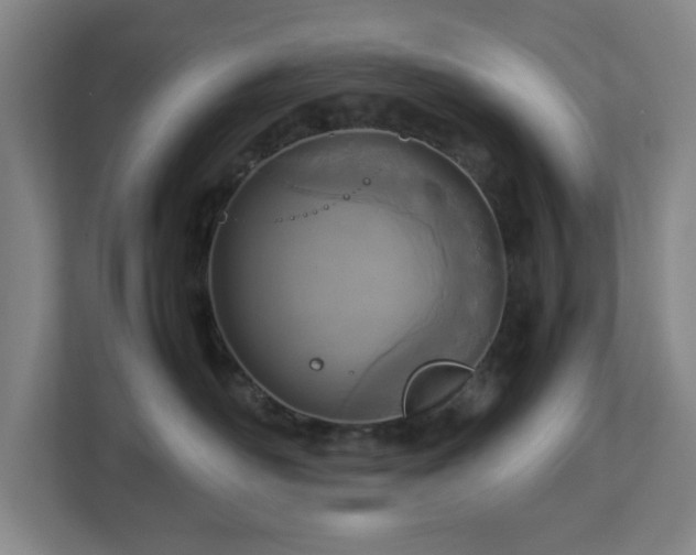 X0000113030526200909031254