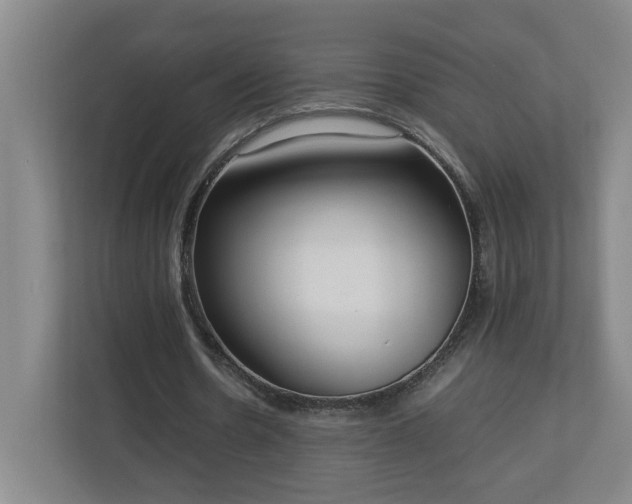 X0000113030530200909031253