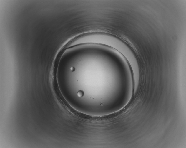 X0000113030532200909031253