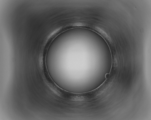 X0000113030535200909031253