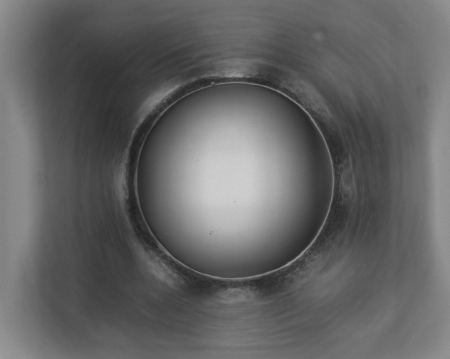 X0000113030536200909031253