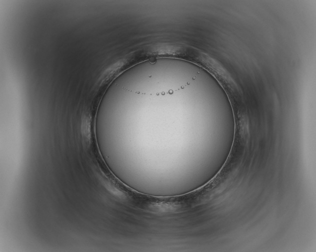 X0000113030537200909031253