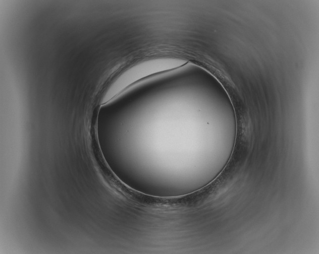 X0000113030538200909031253