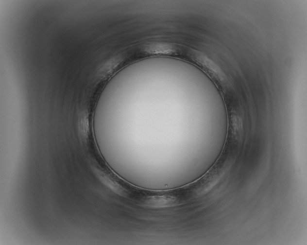 X0000113030541200909031253