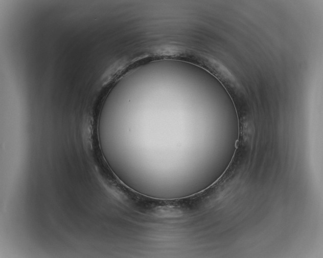 X0000113030544200909031254