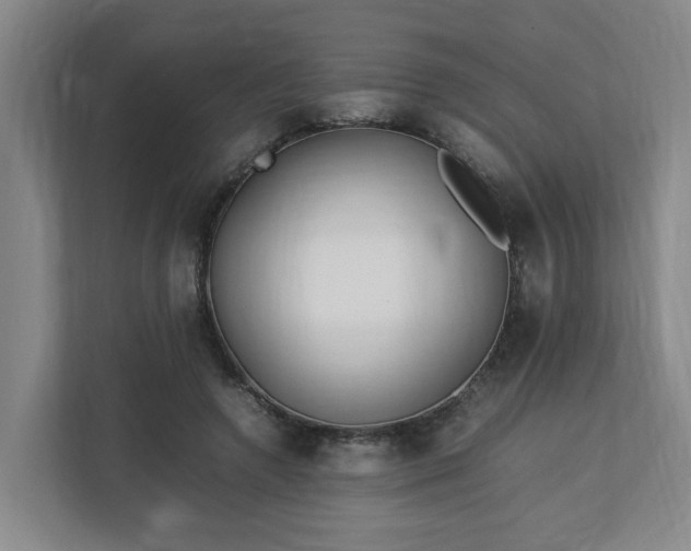 X0000113030546200909031254